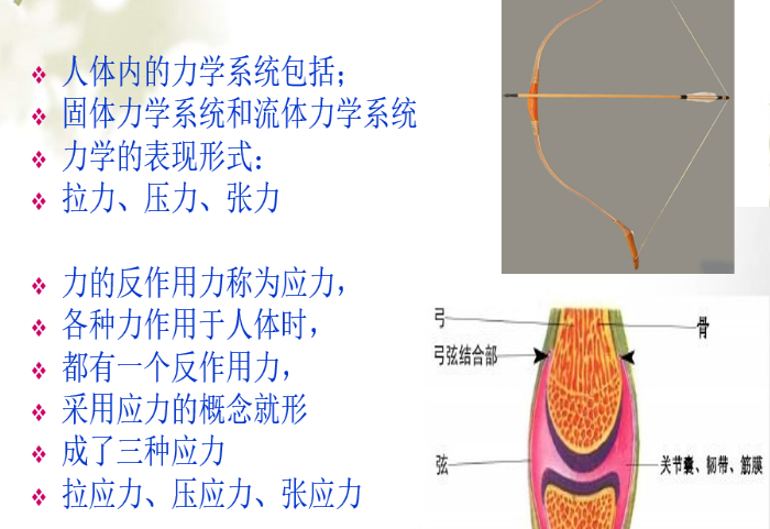 道家绝技玄宗一指寻根术教学视频