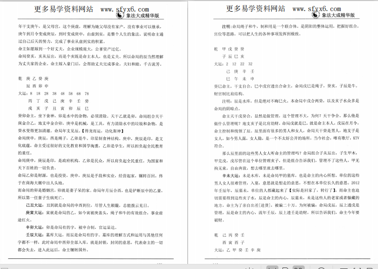 陈朝阳2020版八字象法大成精华