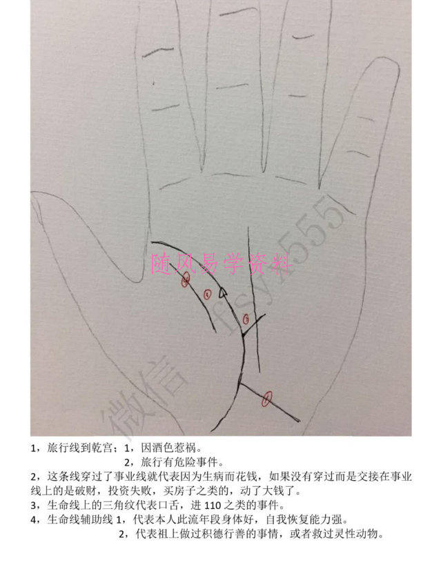 随缘手相电子书53页