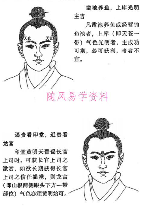 鲁凡  面相断风水242页 pdf