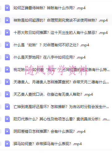 王炳森八字神煞精讲20集视频