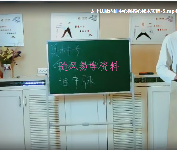 张林峰太上法脉内证中心图核心秘术实修视频7集