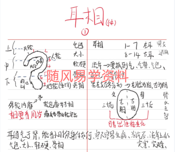 傅成川  民间相法绝技视频11集+笔记