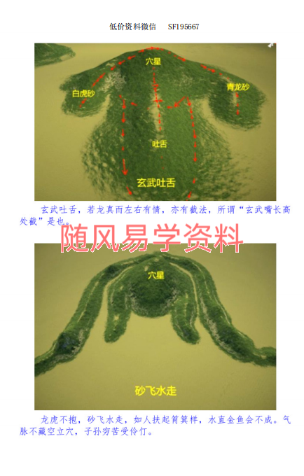 东灵易占  天机阴阳定穴法121页pdf