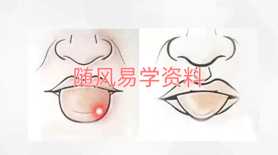 凡焱 面相识人视频50集