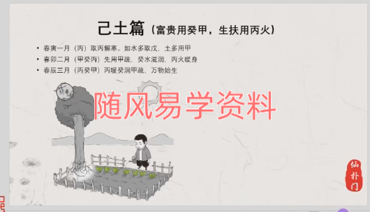 仙扑门《本命命理＋流年命理》视频9集