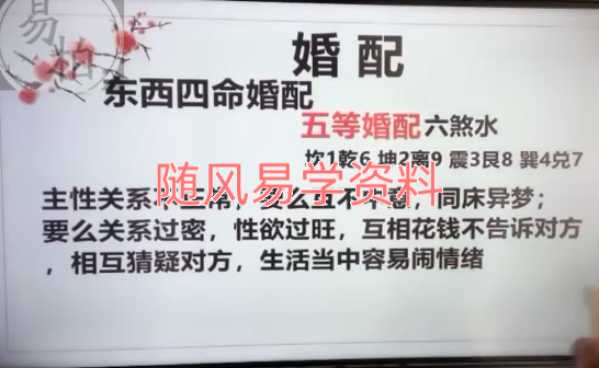 易柏  三元命理婚配与健康流年预测3集