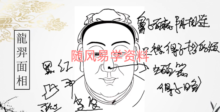 龙羿   相法弟子内训视频60集