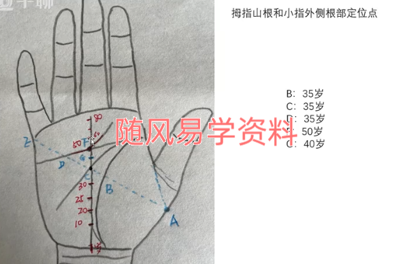 依依   掌上乾坤手纹精讲23集视频