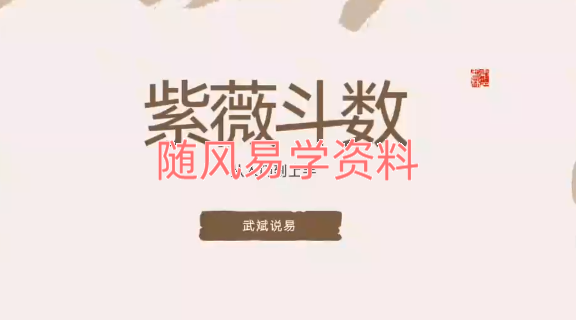 武斌 紫微斗数入门到上手23集视频