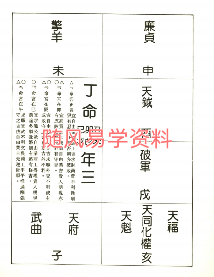 陈文星   天星命学紫微斗数466页