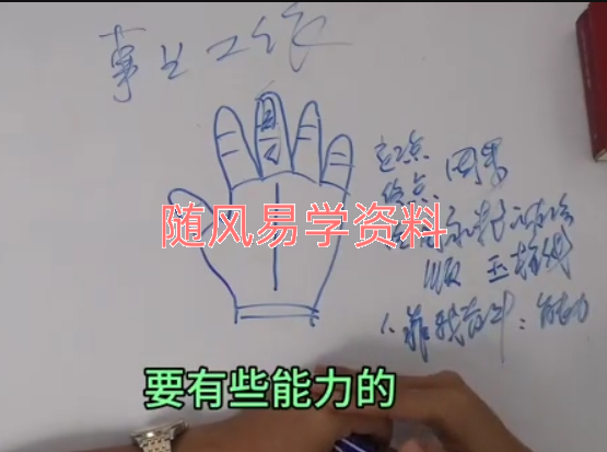 天龙易学  学会手纹，让命运掌握在自己手中视频7集