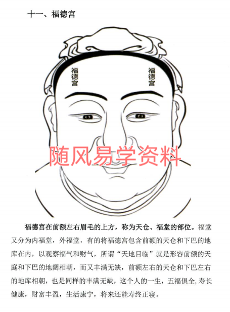 贾继茂盛   面相全息第一卷398页