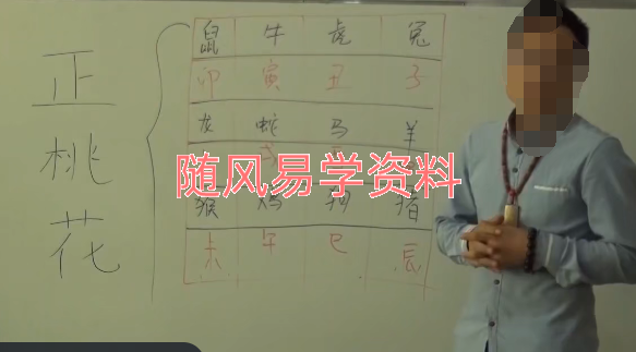 仲文  正桃花斩桃花视频4集