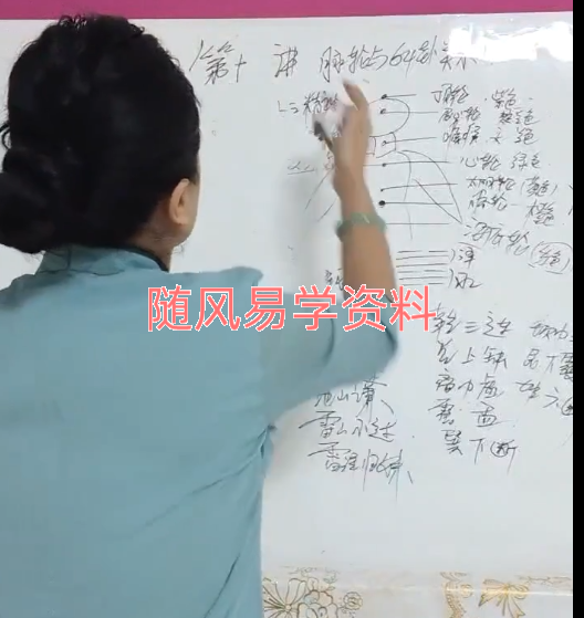 李佩袀   禅意文化易医视频16集