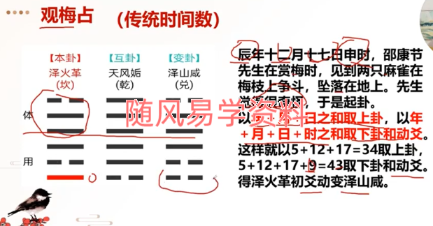 久珍《梅花易数》30集视频