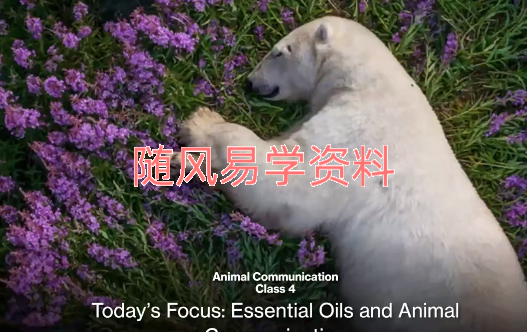 凯莉  动物沟通大师课视频8集，英文授课，中文翻译